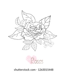 Beautiful black and white bouquet rose and leaves. Floral arrangement isolated on background. Design greeting card and invitation of the wedding, birthday, holiday. Vector illustration. 