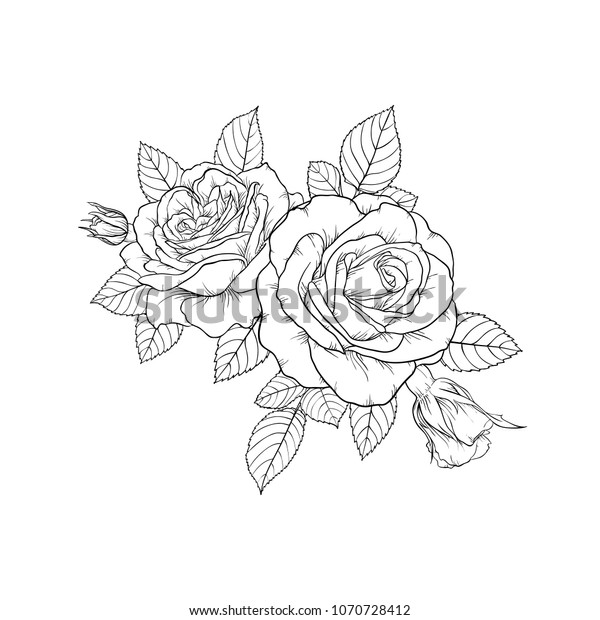 Beau Bouquet Noir Et Blanc Rose Image Vectorielle De Stock Libre De Droits
