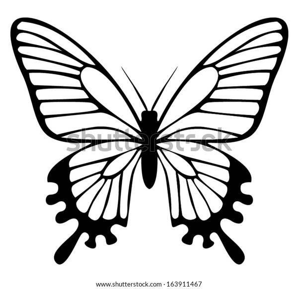 Beautiful Black White Butterfly Isolated On Royalty Free Stock Image