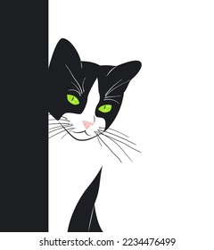 Beautiful black and white cat with green eyes peeks out from behind the wall