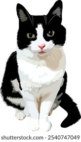 Hermoso gato blanco y negro se sienta. Ilustración vectorial. Gato doméstico.