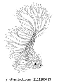 Beautiful black and white colour betta fish with beautiful fins design  illustration for wallpaper background ads clothing or logo
