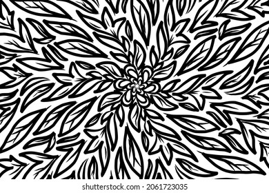 Beautiful black and white colour flower  floral and leaf frame design Vector for wallpaper background or presentation template
