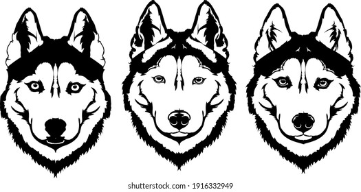 Beautiful black white dog head (muzzle) breed husky or wolf
A set of elements for the logo or cutting out of needlework