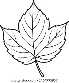 Beautiful Black and White Drawn Element autumn leaf