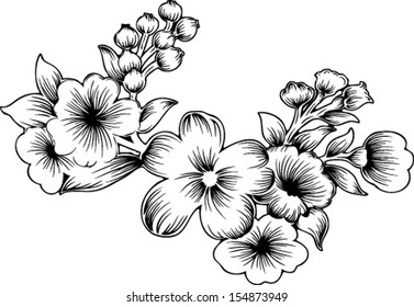 beautiful black and white flower.
