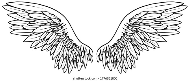 Beautiful black and white hand drawn vector wings