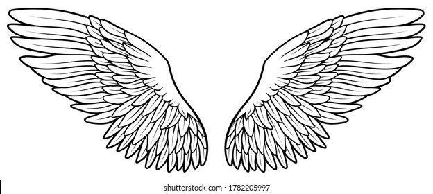 Beautiful black and white hand drawn vector wings