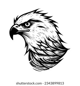 Beautiful Black And White Hawk Head Silhouette