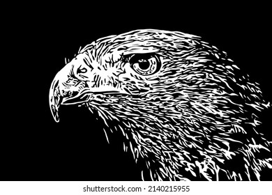 BEAUTIFUL BLACK AND WHITE  LOGO  DESIGN VECTOR  OF The eagle head staring intently reflects the high spirit of adventure