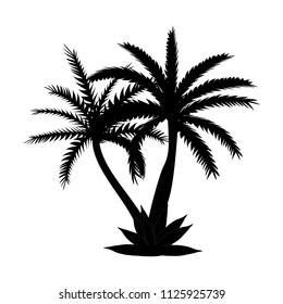 Beautiful Black and White Palm Tree Leaf Silhouette Background Vector Illustration. EPS10