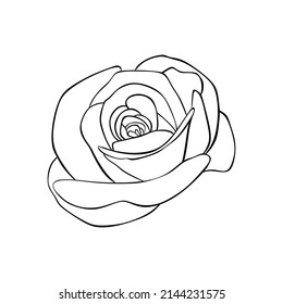 beautiful black and white rose. Floral arrangements isolated on the background. design greeting card and invitation for wedding, birthday, valentine's day, mother's day, holiday