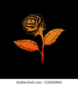 beautiful black and white rose flower and leaves. flower isolated on background. design greeting card and invitation of the wedding, birthday, Valentine Day, mother day tattoo design. color rose.