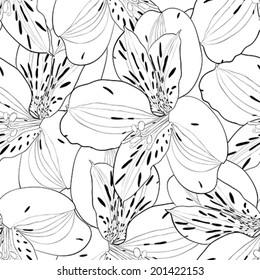 beautiful black and white seamless pattern in alstroemeria with contours. Hand-drawn contour lines and strokes. 