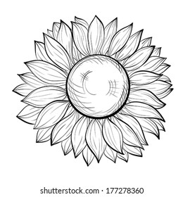 Outline Sunflower Drawing Step By Step