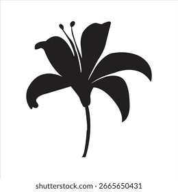 beautiful black and white vector image