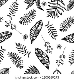 Beautiful black and white vector of tropical leaf. Vector illustration, hand-drawn