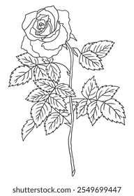 Beautiful black-and-white rose illustration with fine details, ideal for coloring books. Great for art enthusiasts, floral lovers, and creative projects.