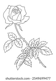 Beautiful black-and-white rose illustration with fine details, ideal for coloring books. Great for art enthusiasts, floral lovers, and creative projects.