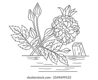 Beautiful black-and-white rose illustration with fine details, ideal for coloring books. Great for art enthusiasts, floral lovers, and creative projects.