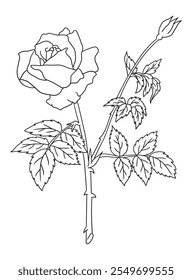 Beautiful black-and-white rose illustration with fine details, ideal for coloring books. Great for art enthusiasts, floral lovers, and creative projects.