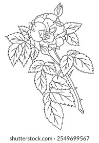 Beautiful black-and-white rose illustration with fine details, ideal for coloring books. Great for art enthusiasts, floral lovers, and creative projects.