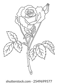 Beautiful black-and-white rose illustration with fine details, ideal for coloring books. Great for art enthusiasts, floral lovers, and creative projects.