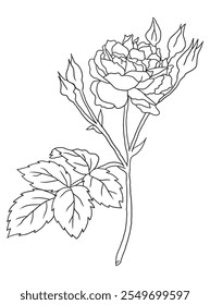 Beautiful black-and-white rose illustration with fine details, ideal for coloring books. Great for art enthusiasts, floral lovers, and creative projects.