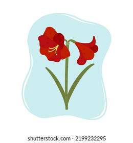 Beautiful blooming amaryllis. Exotic red flower, vector illustration
