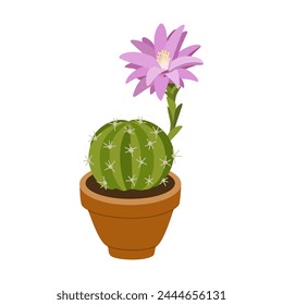 Beautiful blooming cactus in flower pot. Succulent plant for home decoration. Hand drawn vector illustration isolated on white background, modern flat cartoon style.