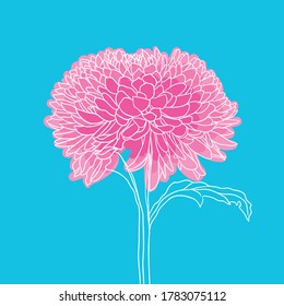beautiful blooming flower. minimal style. vector illustration. 