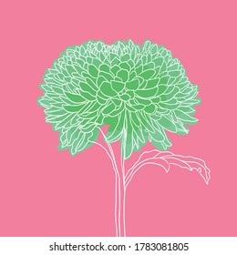 beautiful blooming flower. minimal style. vector illustration. 