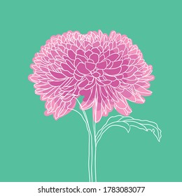 beautiful blooming flower. minimal style. vector illustration. 
