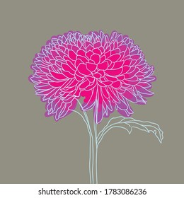 beautiful blooming flower. minimal style. vector illustration. 