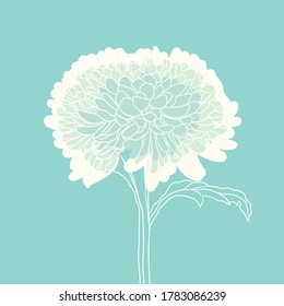 beautiful blooming flower. minimal style. vector illustration. 