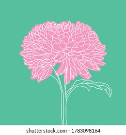beautiful blooming flower. minimal style. vector illustration. 