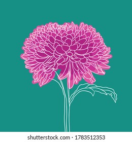 beautiful blooming flower. minimal style. vector illustration. 