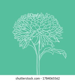 beautiful blooming flower. minimal style. vector illustration. 