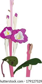 Hermosa flor vectorial de arte