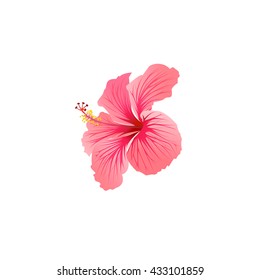 絵文字 スタイルでの Hibiscus のアイコン
