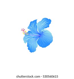 beautiful blooming hibiscus, tropical flower, hibiscus Icon Vector, hibiscus Icon Sign, hibiscus Icon Logo