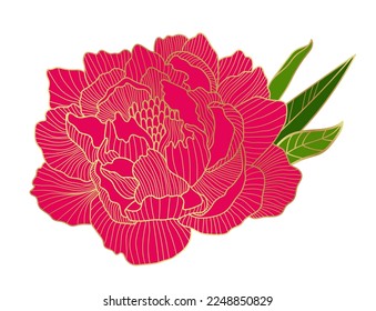 Beautiful blooming red peony flower. A lush peony bud with a golden outline. Elements for the design of postcards, invitations, etc. Vector illustration on a white background.