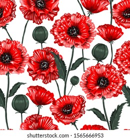 Beautiful blooming red poppy flowers seamless pattern illustration vector ,Design for fashion fabric,web,wallpaper,wrapping and all prints ,graphic used on white.