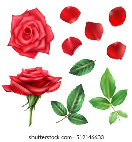 Beautiful blooming red rose flower petals and leaves realistic set isolated on white background vector illustration