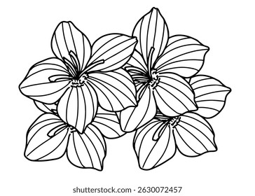Hermoso patrón de flor de azafrán en flor dibujado a mano, decoración de la pared, boda, blanco y negro, editable, diseño de Vector