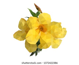 Beautiful blooming yellow Allamanda cathartica flowers with green leaves low polygonal vector