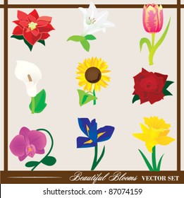 Beautiful Blooms - Floral Vector Set