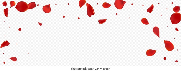 Beautiful Blossom Blur Vector Panoramic Transparent Background. Tender Flower Pattern. Red Cherry Summer Poster. Delicate Petal Flying Template.