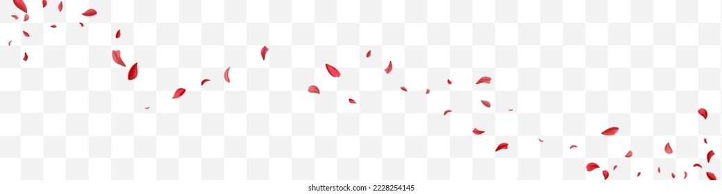 Beautiful Blossom Fall Vector Transparent Panoramic Background. Falling Peach Cover. Red Rose Japan Template. Pink Lotus Flying Frame.