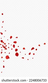 Beautiful Blossom Fall Vector Transparent Background. Japan Petal Template. Red Floral Japanese Poster. Pink Flower Blur Banner.